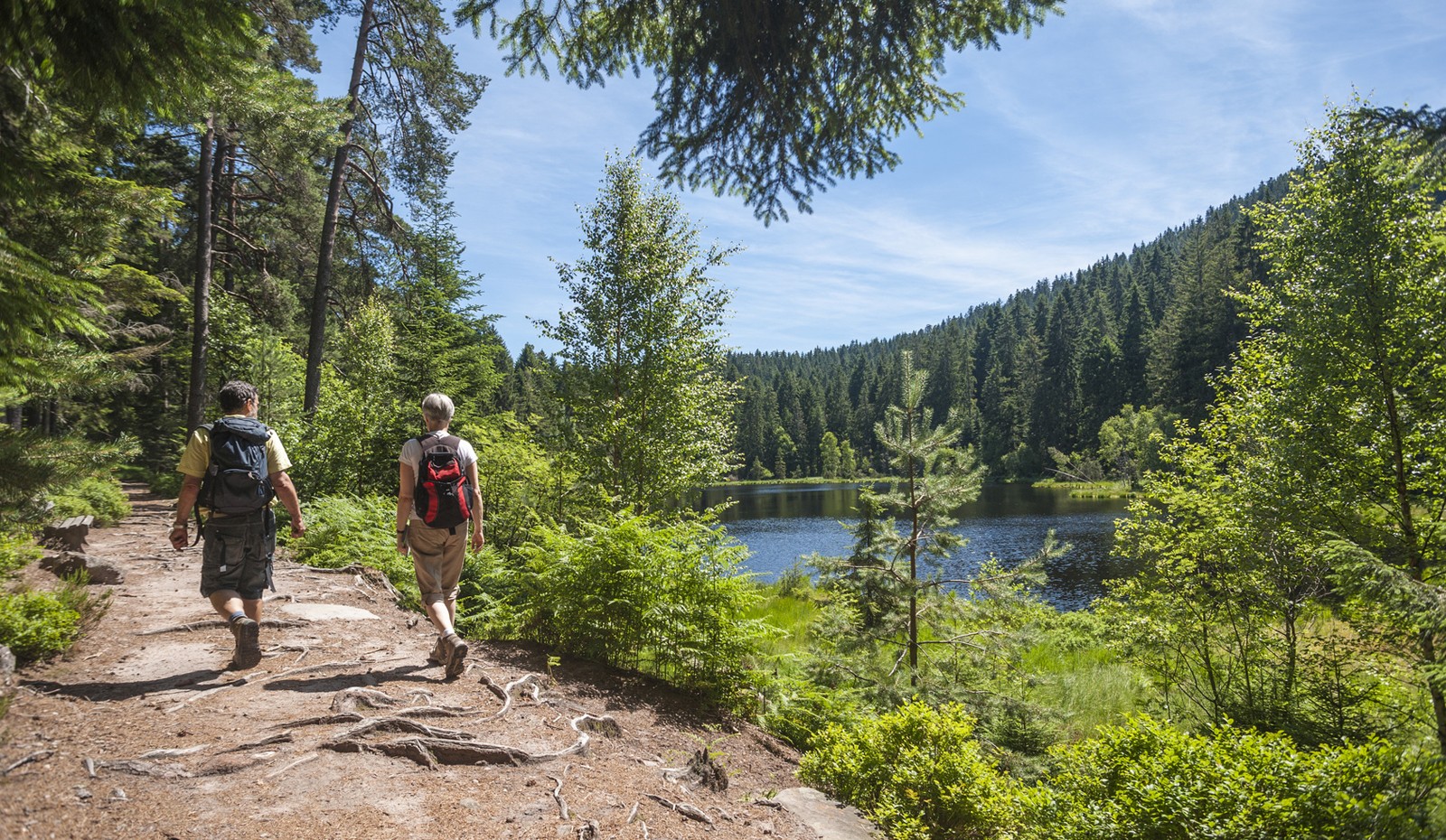 Wanderer am Ellbachsee