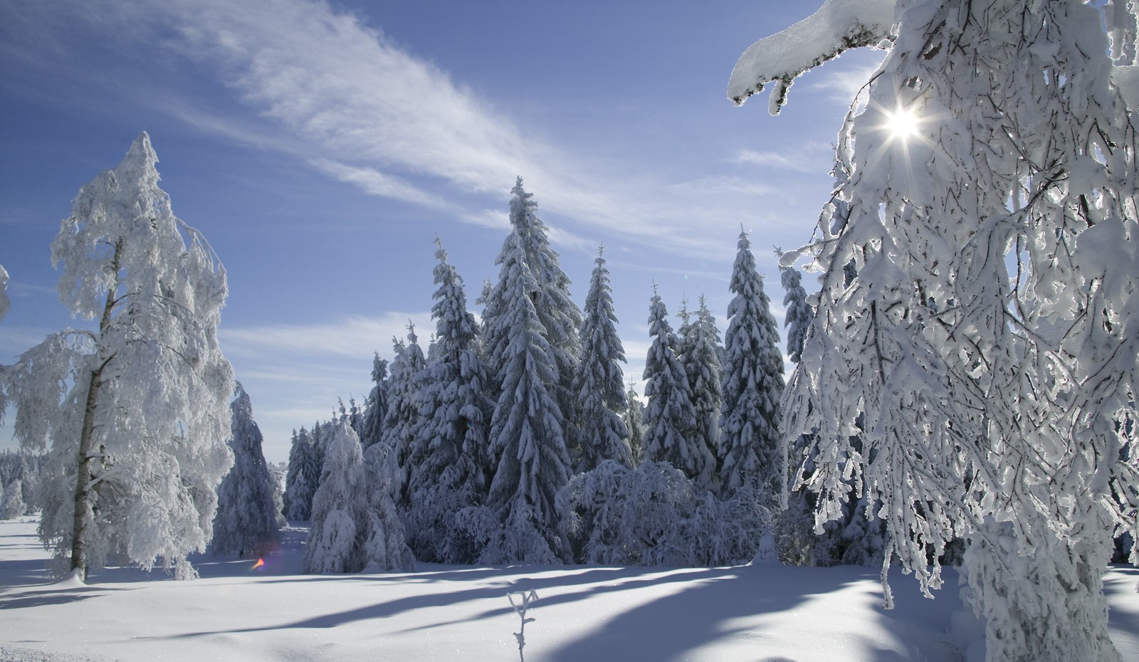 Winterlandschaft auf der Schwarzwaldhochstraße