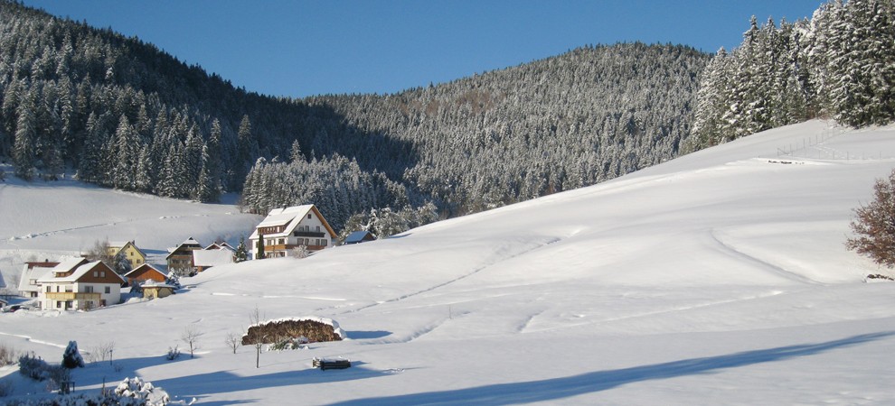 Schneeschuhwandern