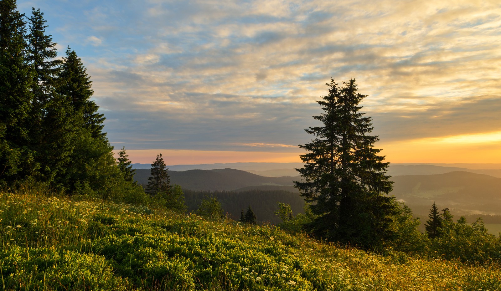 Blick über den Schwarzwald ins Murgtal nach Baiersbronn