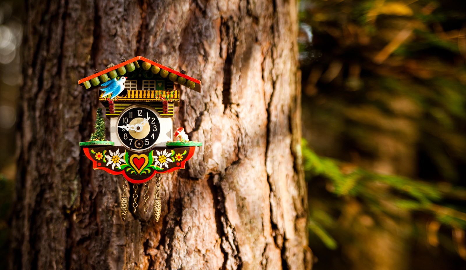 Kukucksuhr am Baum