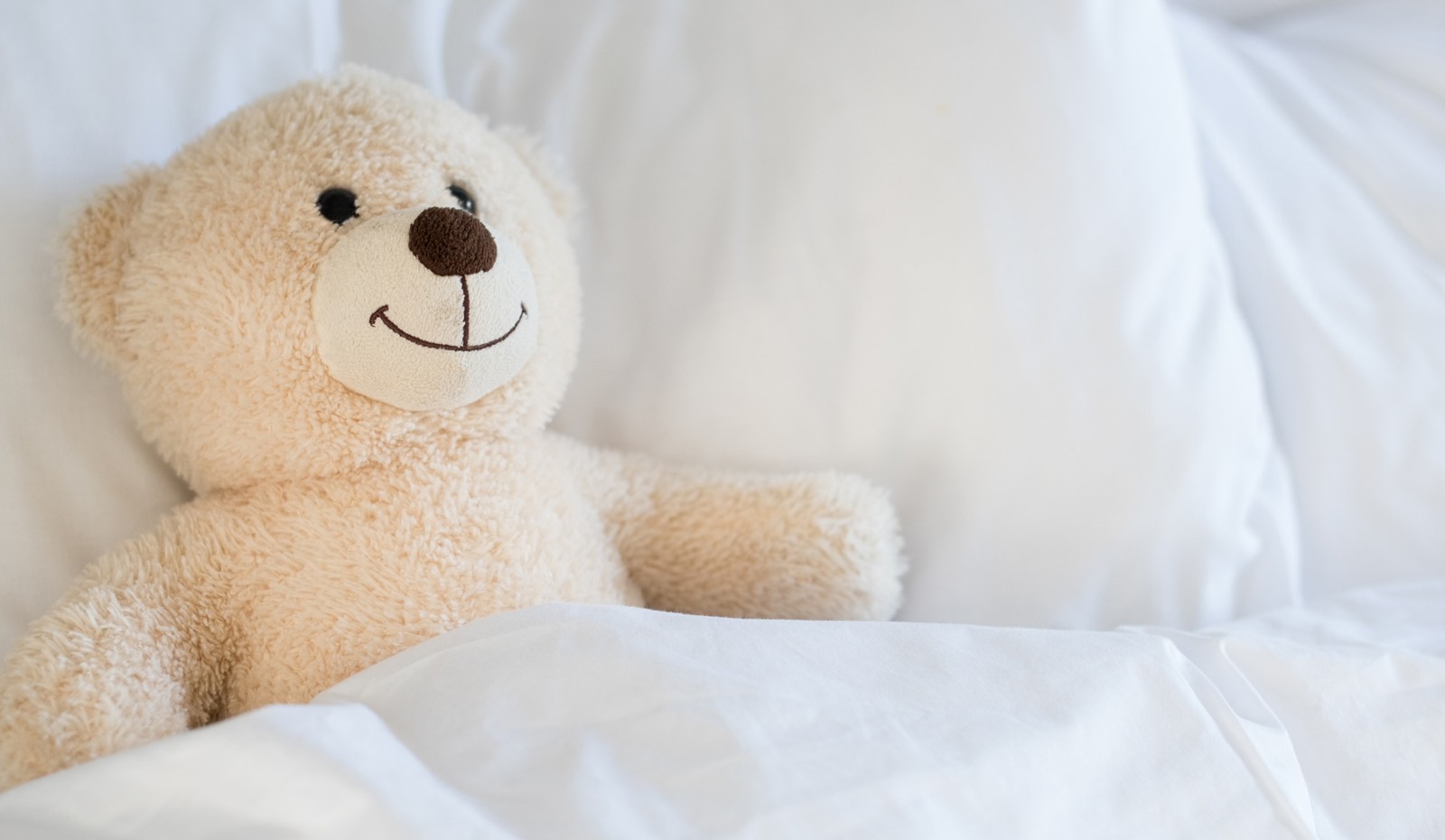 Teddibär im Bett